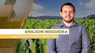 Enilson Nogueira - Analista da Céleres Consultoria