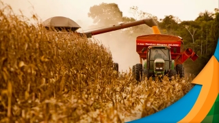 Sérgio Ferreira - Produtor Rural na Região de Cláudia/MT