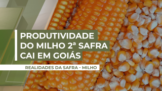 Leonardo Machado - Assessor Técnico da FAEG