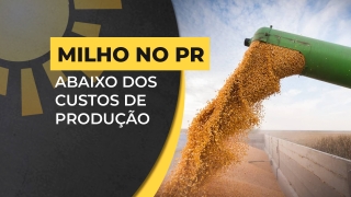 Nivaldo Forastieri