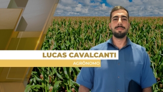 Lucas Cavalcanti - Agrônomo e Coordenador Técnico de Mercado na Nitro