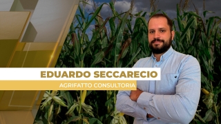 Eduardo Seccarecio - Analista de Mercado da Agrifatto Consultoria