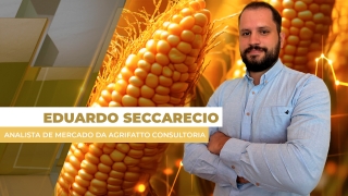 Eduardo Seccarecio - Analista de Mercado da Agrifatto Consultoria