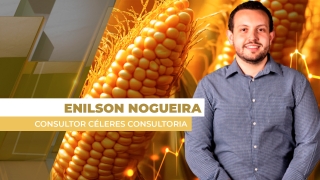 Enilson Nogueira - Consultor Céleres Consultoria