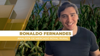 Ronaldo Fernandes - Analista de Mercado Royal Rural