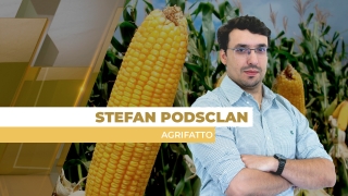 Stefan Podsclan - Consultor de Grãos e Projetos na Agrifatto