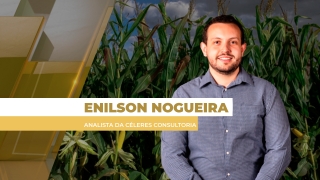 Enilson Nogueira - Analista da Céleres Consultoria