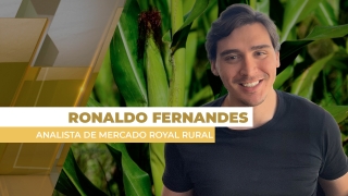 Ronaldo Fernandes - Analista de Mercado Royal Rural