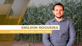 Enilson Nogueira - Analista da Céleres Consultoria