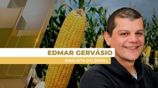 Edmar Gervásio - Analista do Deral