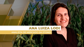 Ana Luiza Lodi - Analista de Mercado da StoneX