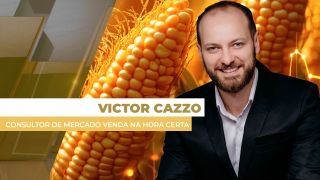 Victor Cazzo - Consultor de Mercado Venda na Hora Certa