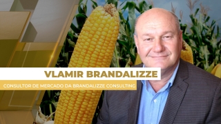 Vlamir Brandalizze - Consultor de Mercado da Brandalizze Consulting
