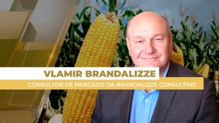 Vlamir Brandalizze - Consultor de Mercado da Brandalizze Consulting