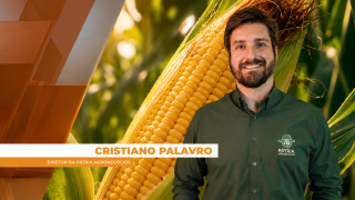 Cristiano Palavro - Diretor da Pátria Agronegócios