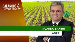 Ricardo Santin - Presidente da ABPA