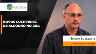 NELSON SUASSUNA