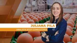 Juliana Pila - Analista Scot Consultoria