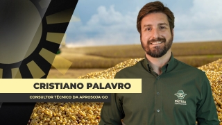 Cristiano Palavro Consultor Técnico da Aprosoja-GO