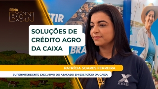 Patrícia Soares Ferreira - Superintendente Executivo do Atacado em Exercício da Caixa