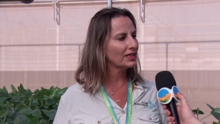 Paula Antunes - Líder da unidade de Pesquisa e Desenvolvimento da Bayer em Santa Cruz das Palmeiras (SP)