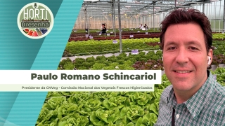 Paulo Romano Schincariol