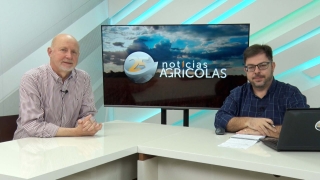 Paulo Herrmann - Consultor