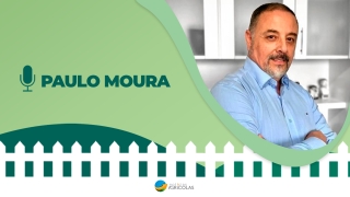 Conversa de Cerca - Com Carla Mendes