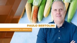 Paulo Bertolini - Presidente da Abramilho