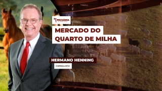 Hermano Henning - Jornalista