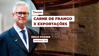 Érico Pozzer - Presidente - APA