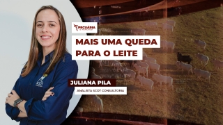 Juliana Pila - Analista Scot Consultoria