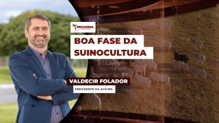 Valdecir Folador - Presidente da ACSURS