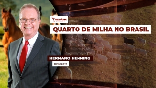 Hermano Henning - Jornalista