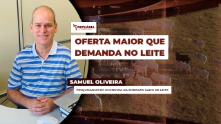 Samuel Oliveira - Pesquisador em Economia da Embrapa Gado de Leite