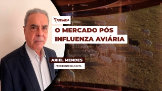 Ariel Mendes - Presidente da Facta