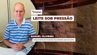 Samuel Oliveira - Pesquisador em Economia da Embrapa Gado de Leite