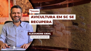 Alexandre Giehl - Analista da Epagri/Cepa