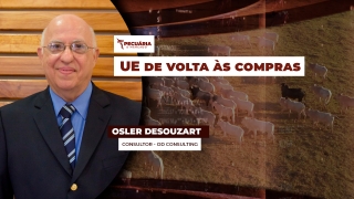 Osler Desouzart - Consultor - OD Consulting