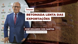 José Eduardo dos Santos - Presidente Executivo da ASGAV