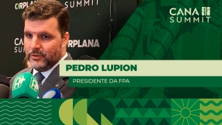 Pedro Lupion