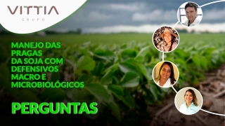 Confira as perguntas do evento: Manejo das pragas da soja com defensivos macro e microbiológicos do Grupo Vittia