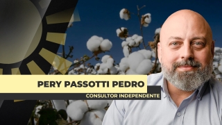 Pery Passotti Pedro - Consultor Independente