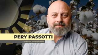 Pery Passotti
