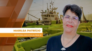 Marilsa Patrício - Secretária executiva da Peixe SP