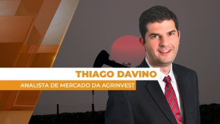 Thiago Davino - Analista de Mercado da Agrinvest