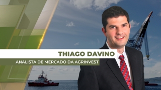 Thiago Davino - Analista de Mercado da Agrinvest