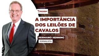 Hermano Henning