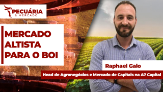 Raphael Galo