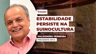 Valdomiro Ferreira - Presidente APCS